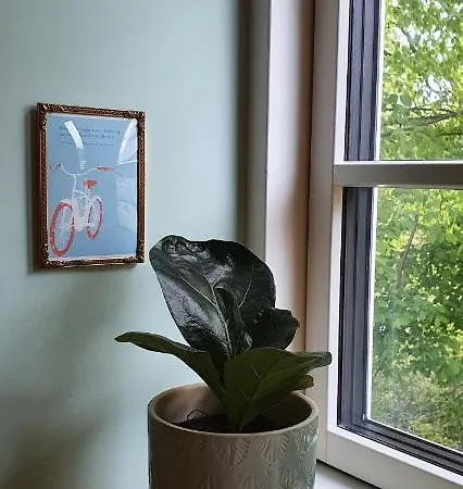 Hos Molsgaarden Knebel