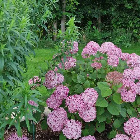 Hos Molsgaarden Knebel